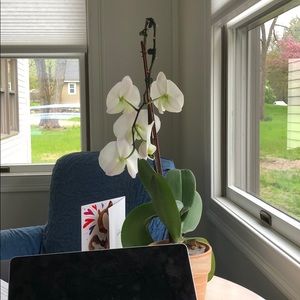 Meet your Posher, Phil